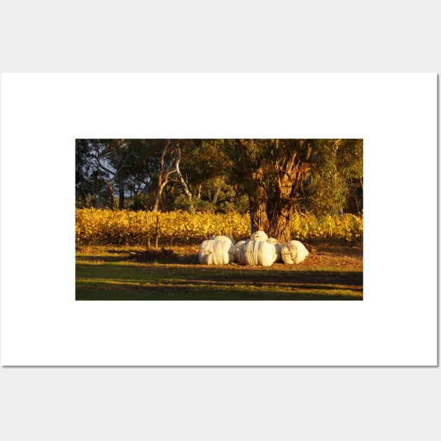 Autumn in the Vines - Adelaide Hills Wine Region - Fleurieu Peninsula - South Australia by Avril Thomas Wall Art by MagpieSprings